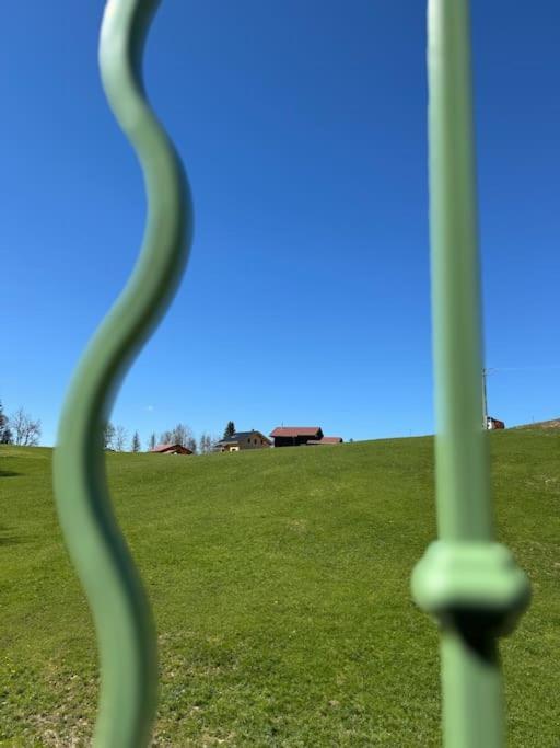 Chic & Champetre Au Coeur Du Haut-Jura Lamoura Kültér fotó
