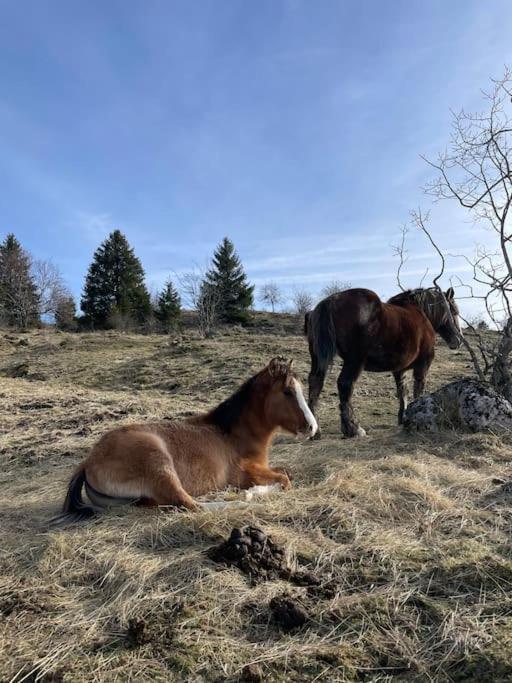 Chic & Champetre Au Coeur Du Haut-Jura Lamoura Kültér fotó