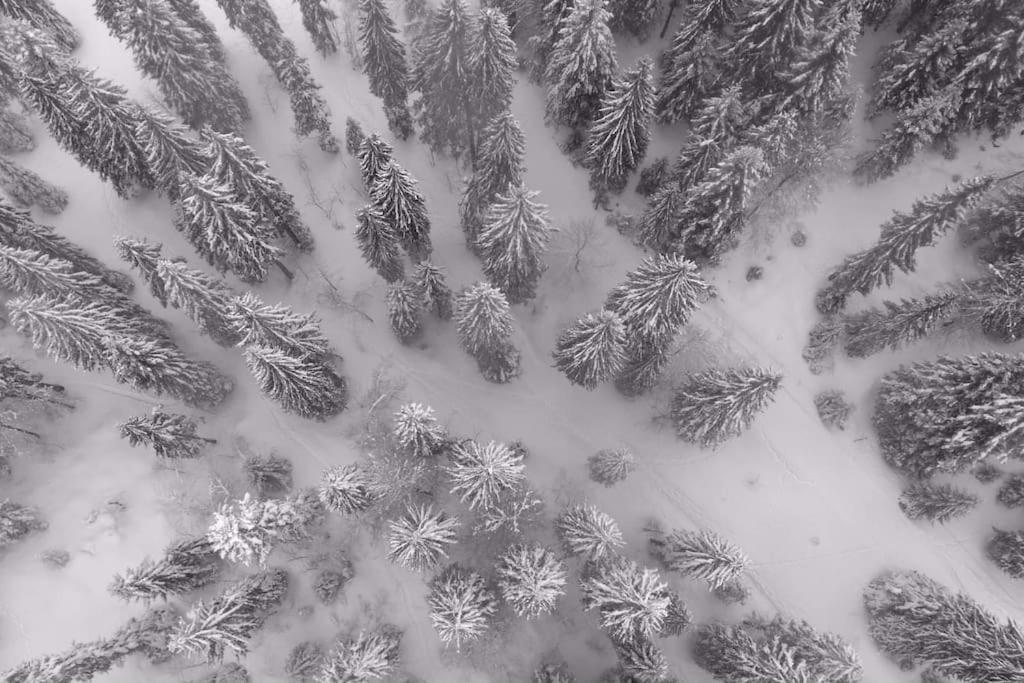 Chic & Champetre Au Coeur Du Haut-Jura Lamoura Kültér fotó